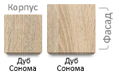 Дуб Сонома